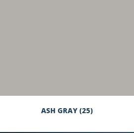 Ash Gray (25)